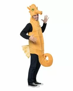 Seepferdchen Kostüm Für Erwachsene