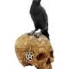 Salem Totenkopf Mit Rabe
