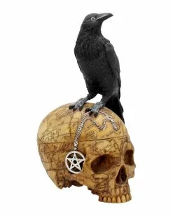 Salem Totenkopf Mit Rabe