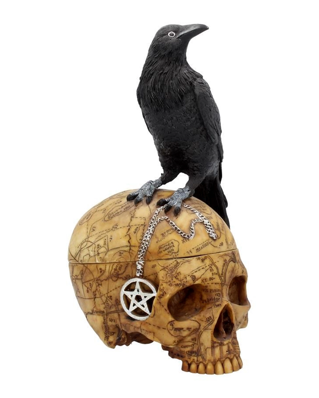 Salem Totenkopf Mit Rabe