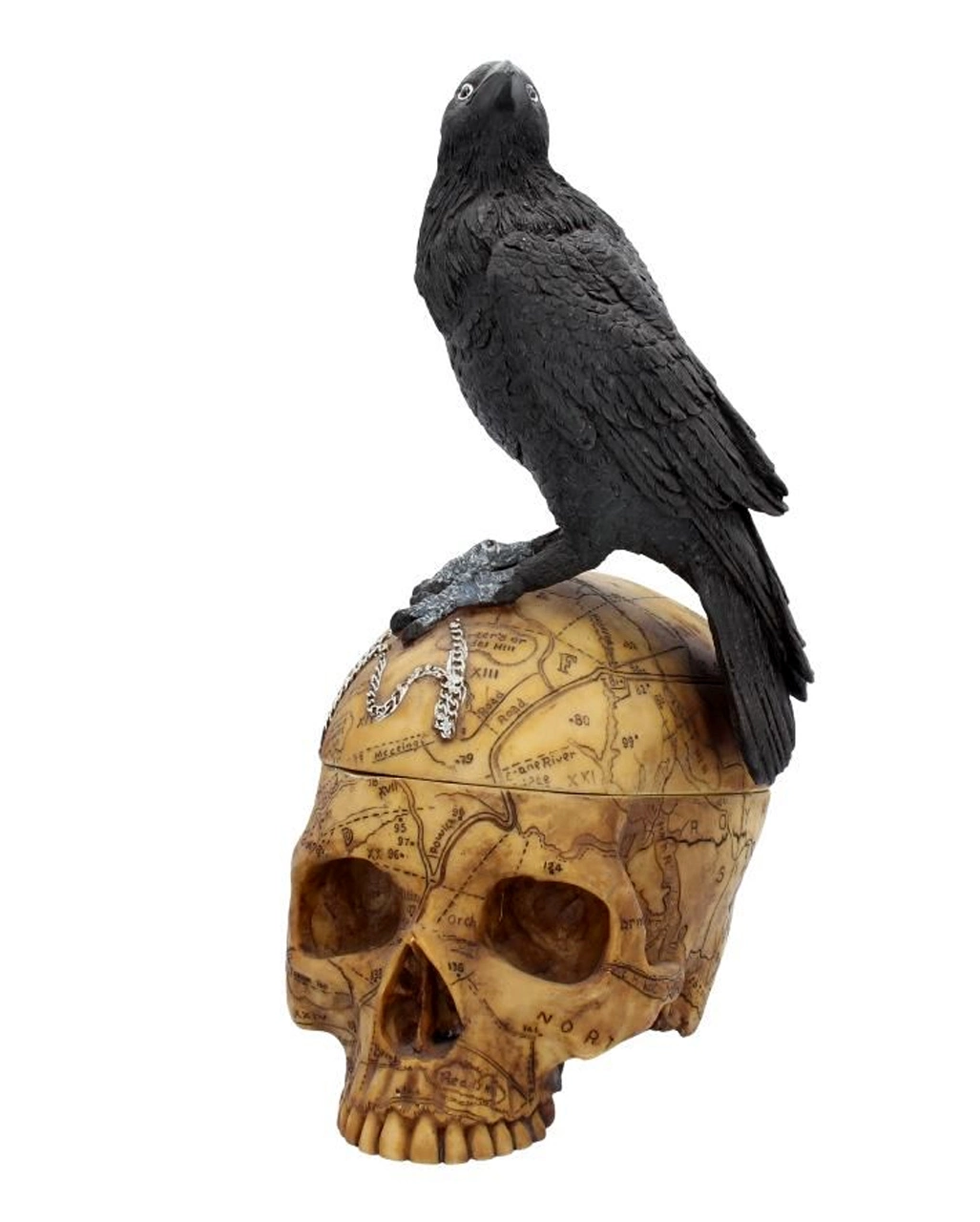 Salem Totenkopf Mit Rabe – Bild 2