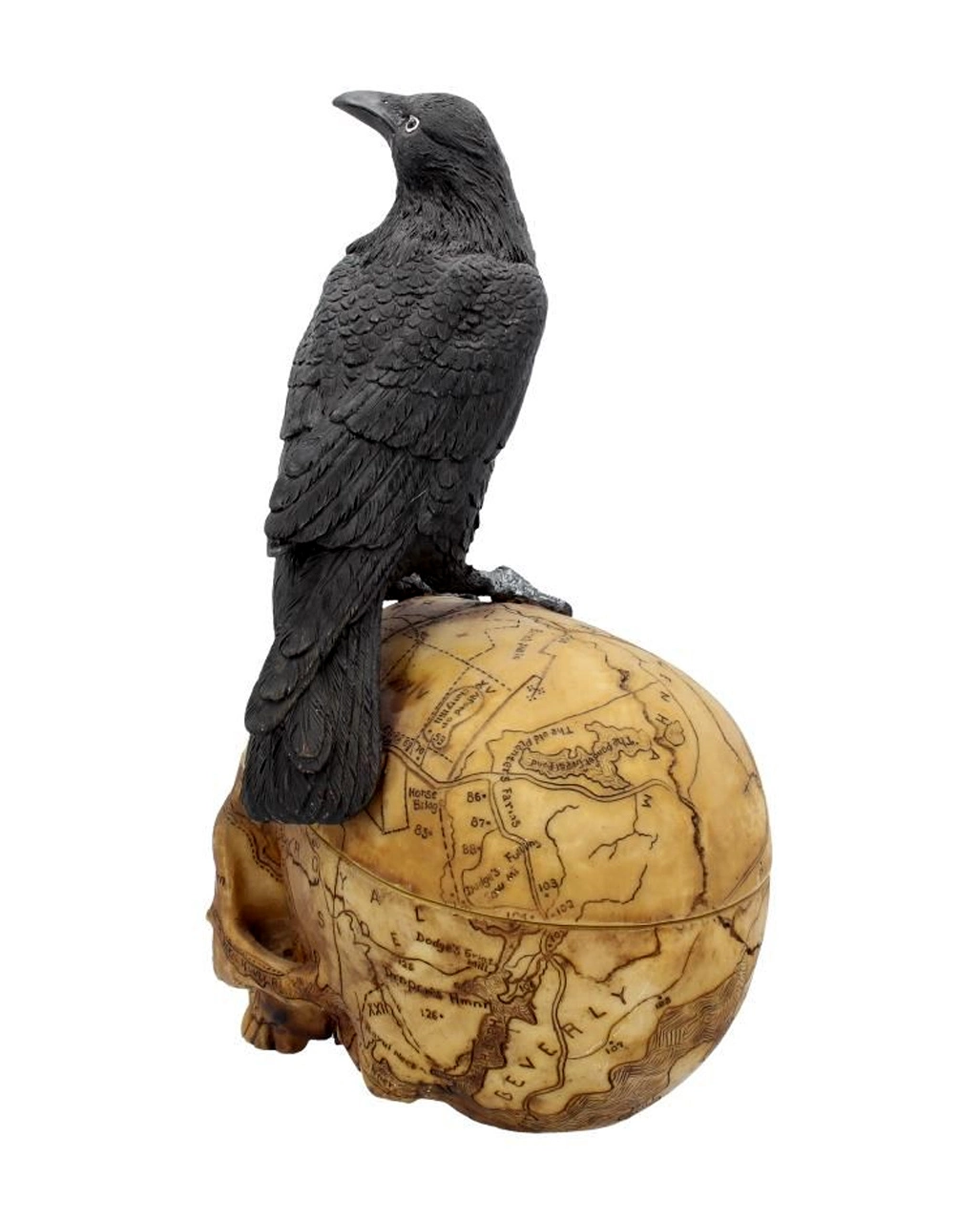 Salem Totenkopf Mit Rabe – Bild 4