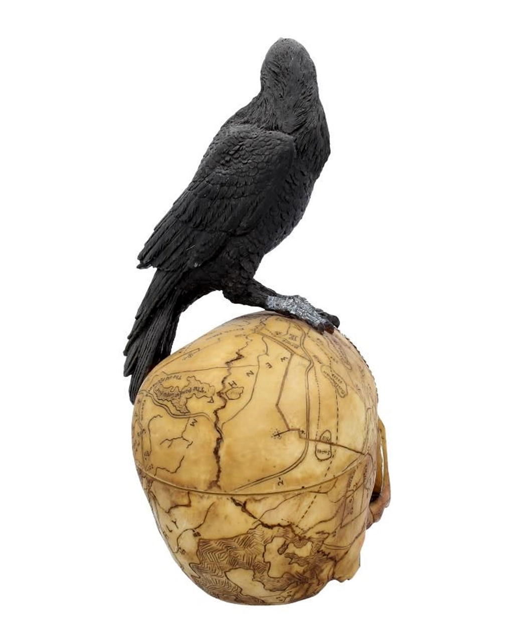 Salem Totenkopf Mit Rabe – Bild 5