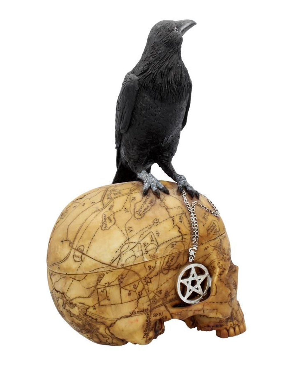 Salem Totenkopf Mit Rabe – Bild 6