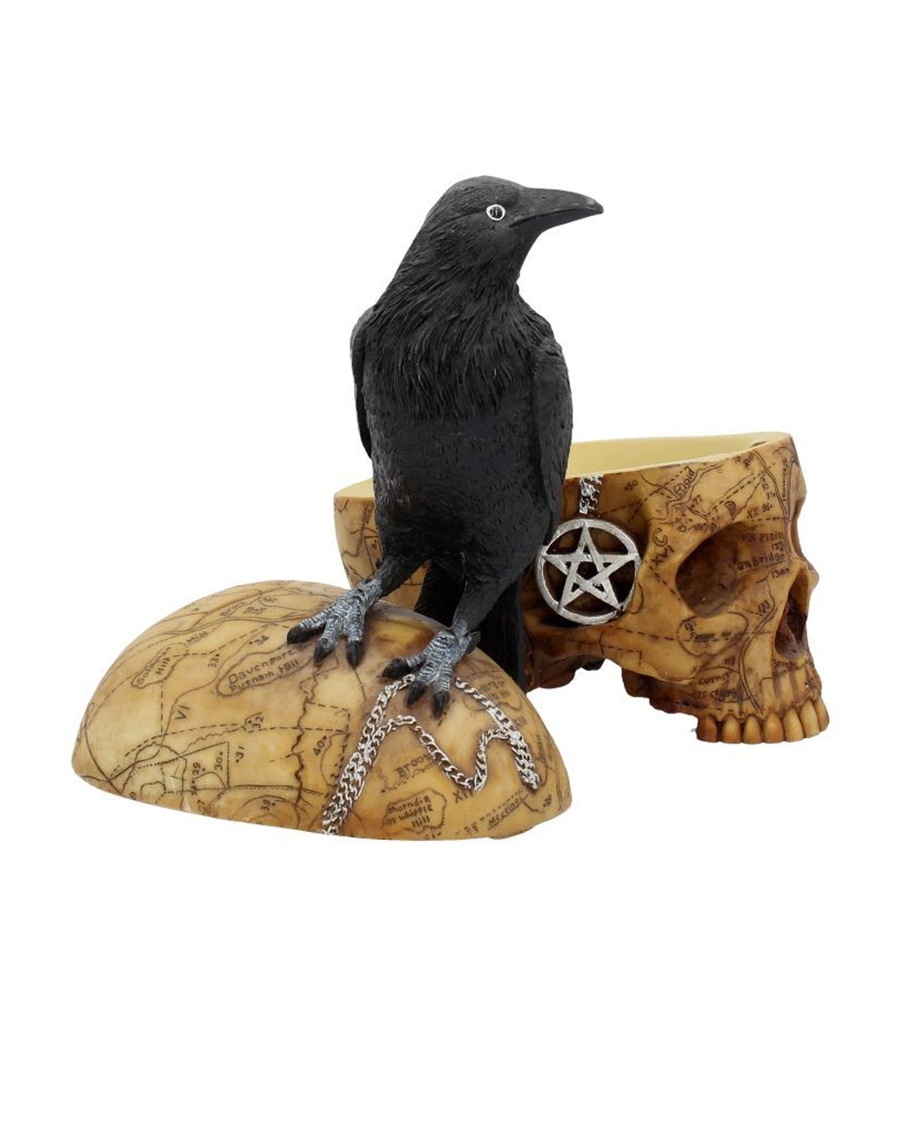Salem Totenkopf Mit Rabe – Bild 7