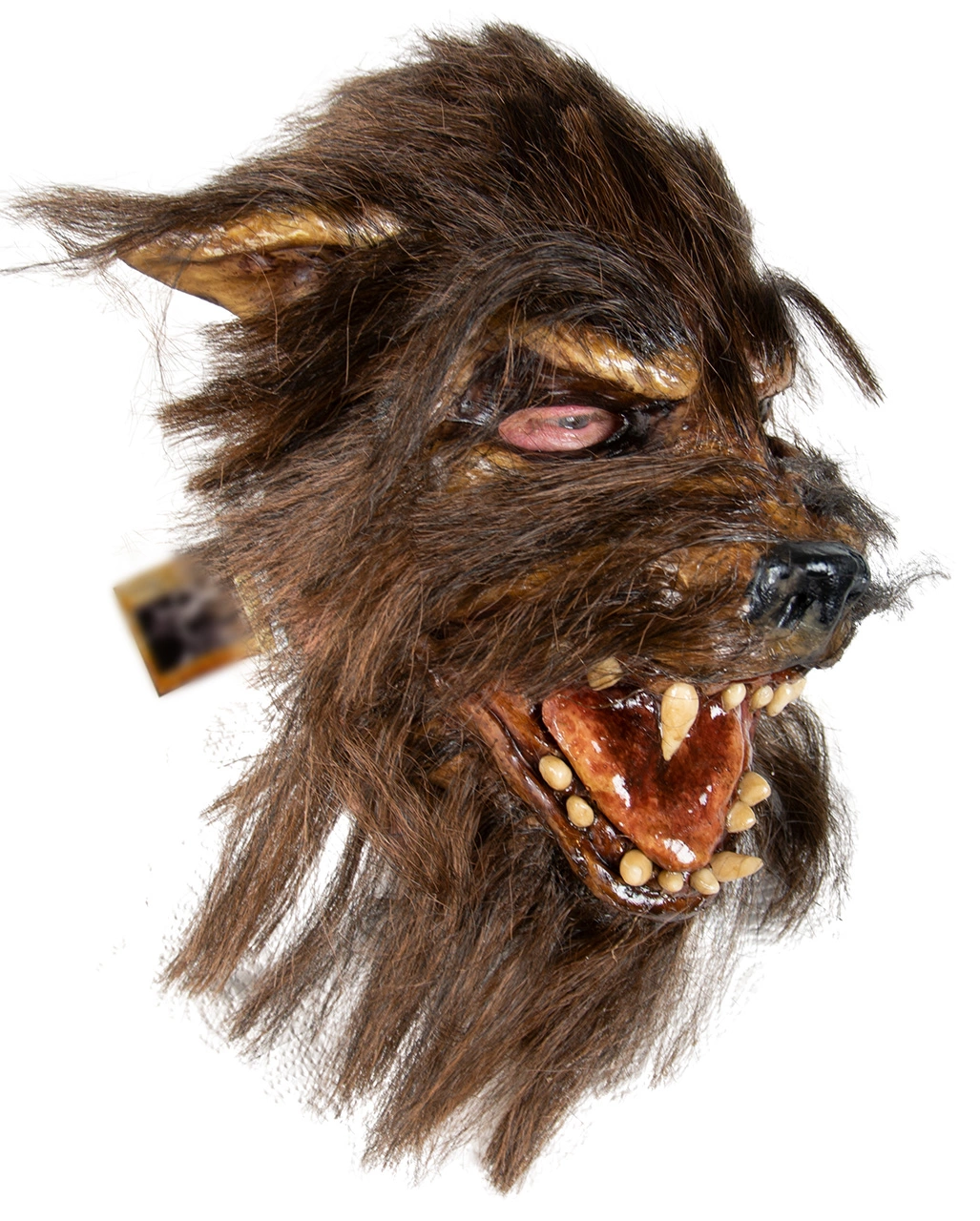 Wolf Man Halloween Maske – Bild 2